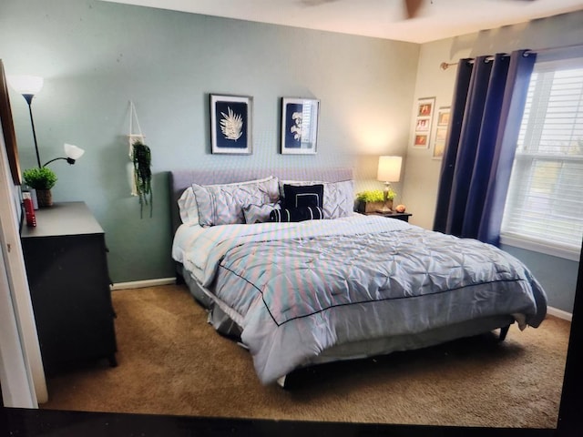 24622 George Washington Dr, Plainfield, IL 60544 - bedroom featuring carpet floors