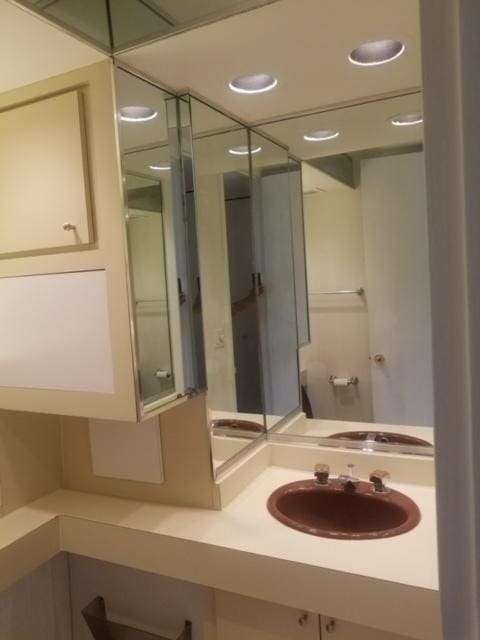 5401 S Hyde Park Blvd Unit 705, Chicago, IL 60615 - bathroom with vanity and recessed lighting