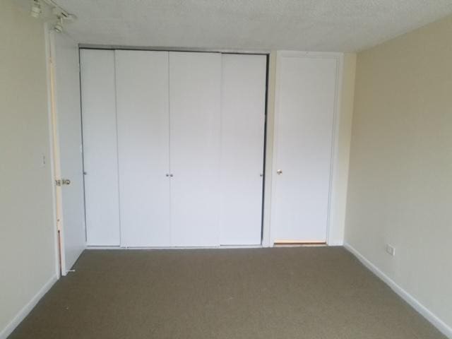 5401 S Hyde Park Blvd Unit 705, Chicago, IL 60615 - unfurnished bedroom featuring baseboards, carpet flooring, a textured ceiling, and a closet