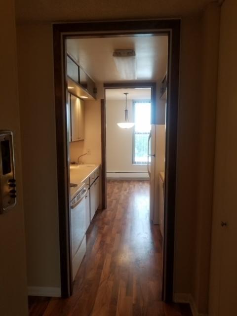 5401 S Hyde Park Blvd Unit 705, Chicago, IL 60615 - corridor with a baseboard radiator, wood finished floors, and a sink