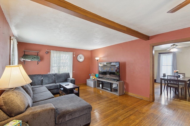 204 S Jackson Ave, Polo, IL 61064 - living room with a wealth of natural light, ceiling fan, and hardwood / wood-style flooring