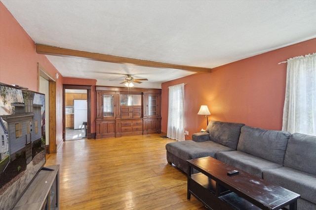 204 S Jackson Ave, Polo, IL 61064 - living room with light wood-type flooring, beamed ceiling, and ceiling fan