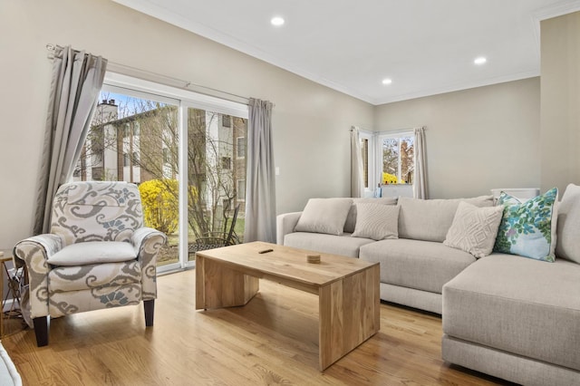 3104 Antelope Springs Rd, Northbrook, IL 60062 - living room featuring light wood-style floors, plenty of natural light, and ornamental molding