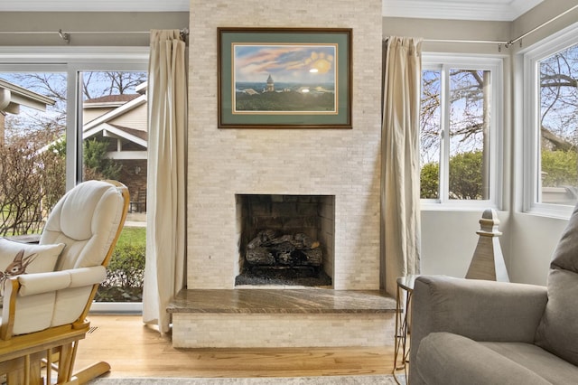 3104 Antelope Springs Rd, Northbrook, IL 60062 - sitting room with a large fireplace, wood finished floors, and crown molding