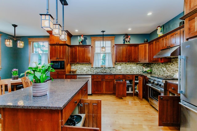 605 Ashland Ave, River Forest, IL 60305 - kitchen with under cabinet range hood, a healthy amount of sunlight, light wood finished floors, and stainless steel appliances