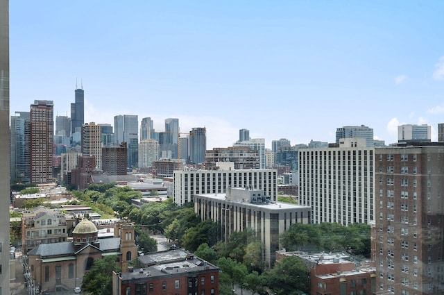 1122 N Clark St Unit 1702, Chicago, IL 60610 - view of city skyline
