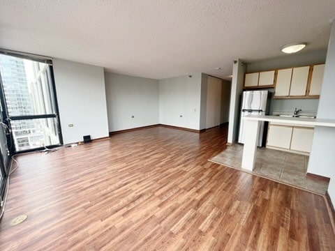 1122 N Clark St Unit 1702, Chicago, IL 60610 - unfurnished living room with a textured ceiling, light wood-type flooring, baseboards, and a sink