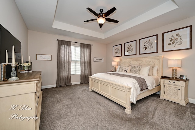 730 Goodfield Lndg, Elgin, IL 60124 - bedroom featuring baseboards, ceiling fan, a tray ceiling, and dark carpet