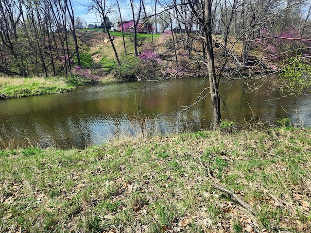 LOT1668 Lakeside Ct, Varna, IL 61375 - photo 1