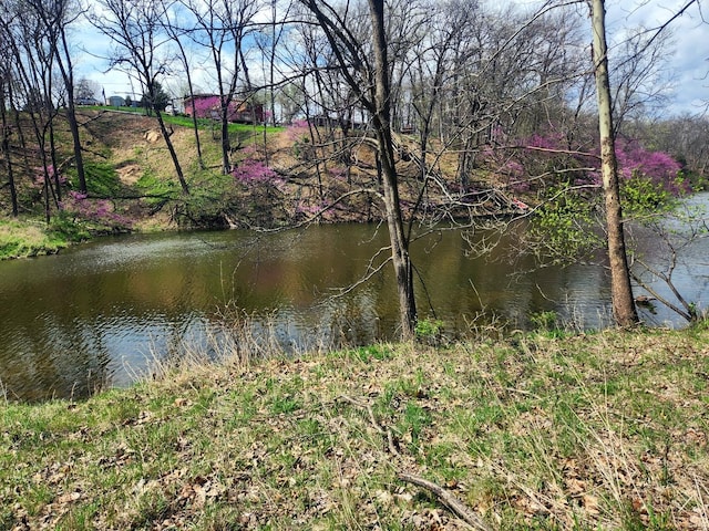 LOT1668 Lakeside Ct, Varna, IL 61375 - photo 2