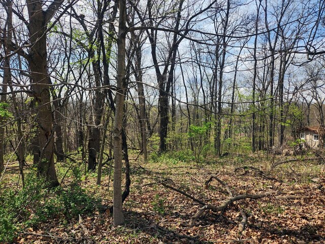 LOT1668 Lakeside Ct, Varna, IL 61375 - photo 3