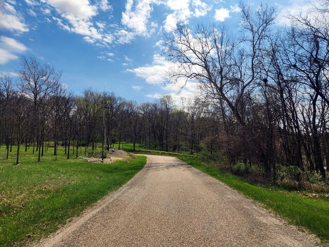 LOT1668 Lakeside Ct, Varna, IL 61375 - photo 4