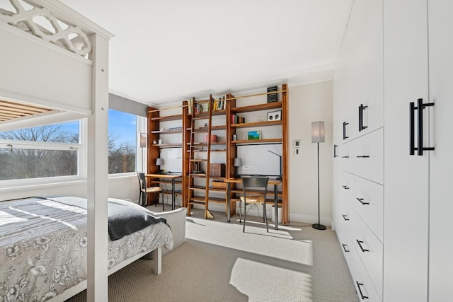 bedroom with carpet floors