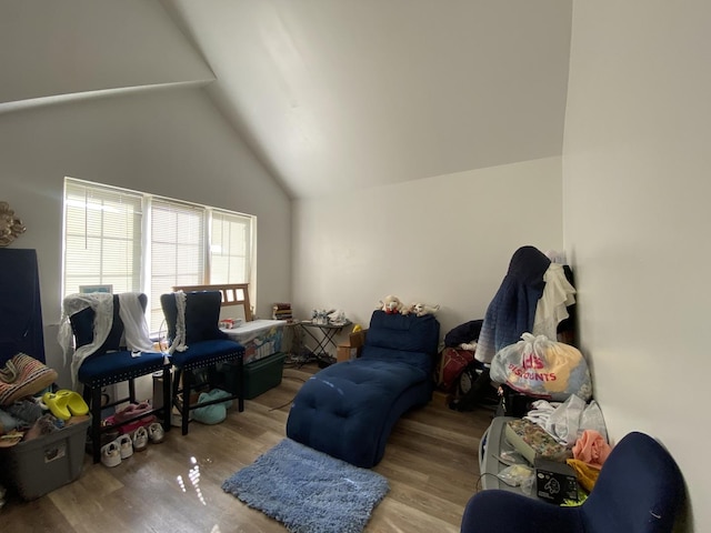 interior space featuring wood finished floors and lofted ceiling