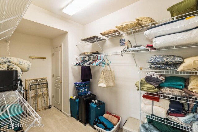 13474 Lehigh St, Huntley, IL 60142 - spacious closet with carpet floors