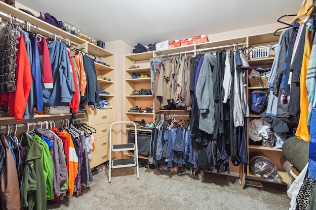 229 Stone Hollow Dr, Poplar Grove, IL 61065 - spacious closet featuring carpet floors