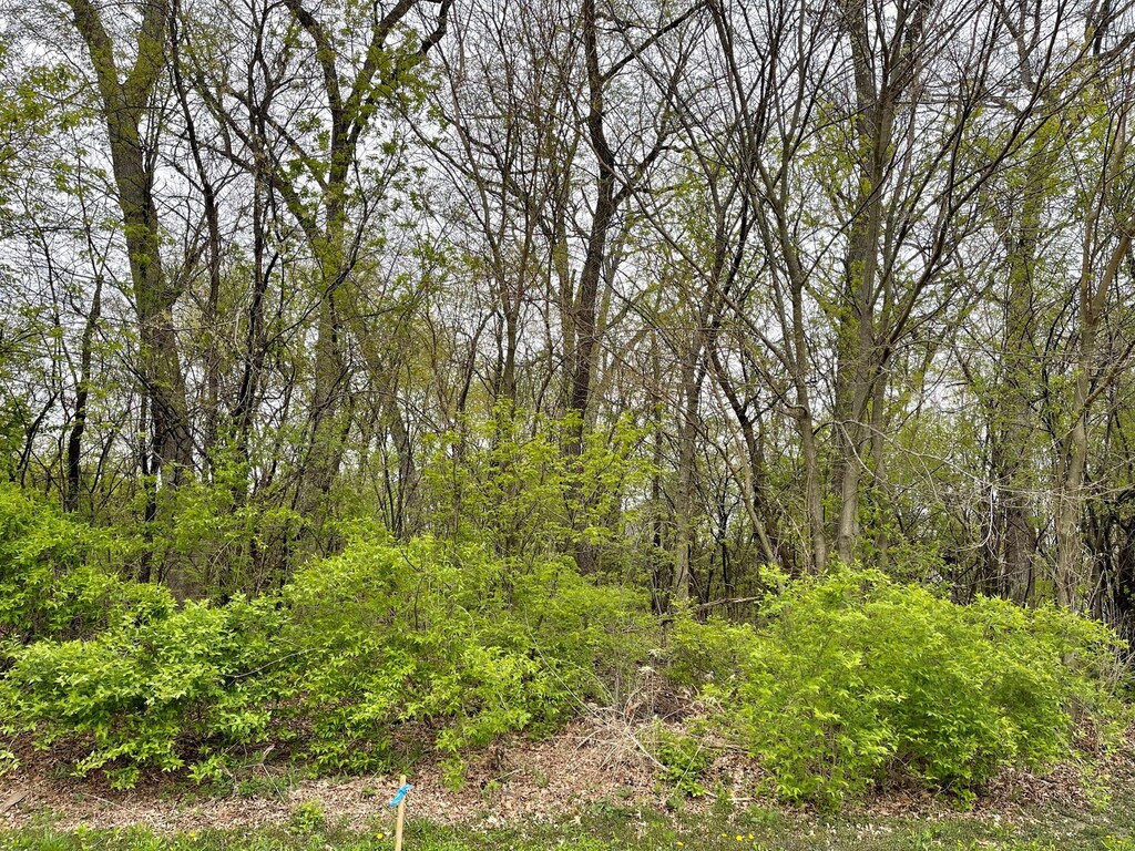 3319 Lakewood Dr, Prairie Grove, IL 60012