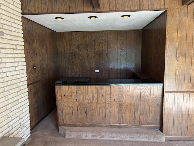 9609 S Kenneth Ave, Oak Lawn, IL 60453 - bar featuring wooden walls, carpet floors, and indoor wet bar