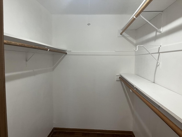 9609 S Kenneth Ave, Oak Lawn, IL 60453 - spacious closet with dark wood-type flooring