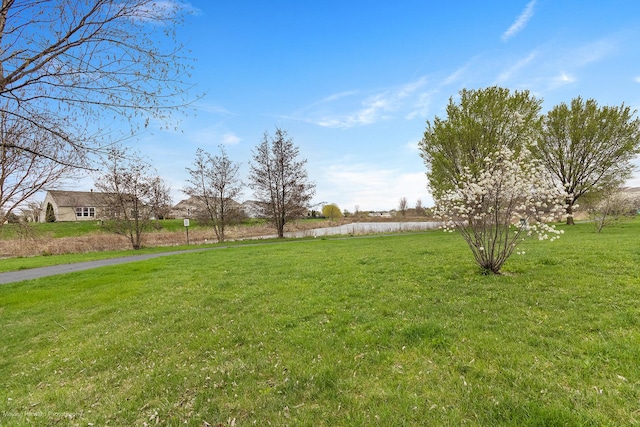 view of yard featuring a water view