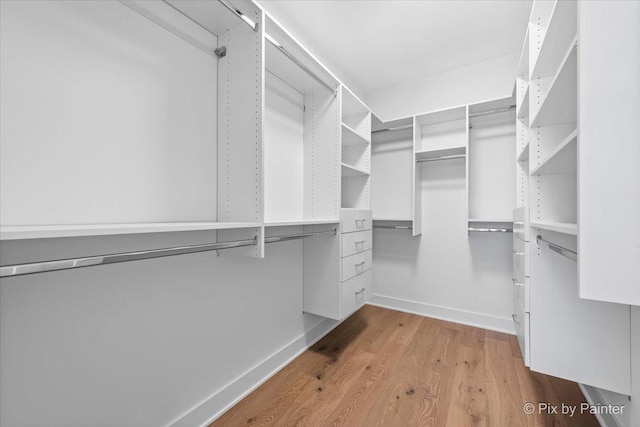 spacious closet featuring wood finished floors
