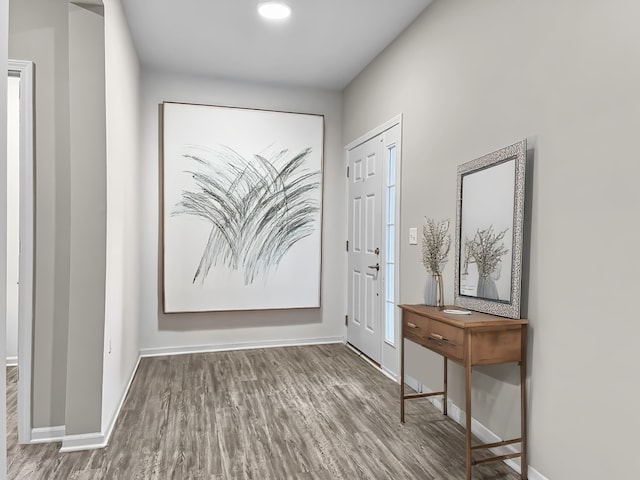 8506 Stillwater Rd, Wonder Lake, IL 60097 - foyer entrance featuring baseboards and wood finished floors