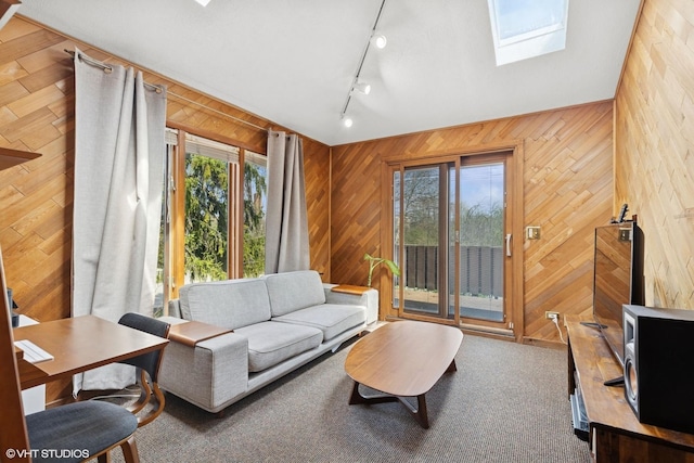 living area with a skylight, rail lighting, and wooden walls