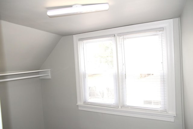 spacious closet featuring lofted ceiling