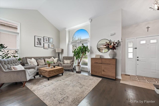 1682 Brompton Ln, Crystal Lake, IL 60014 - living area featuring high vaulted ceiling and dark wood finished floors