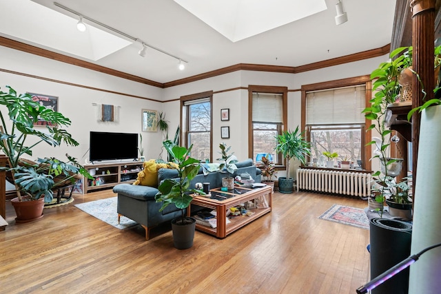 living room with a skylight, wood-type flooring, track lighting, and radiator
