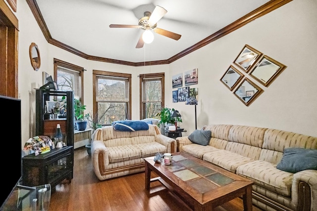 living room with crown molding, wood finished floors, and a ceiling fan