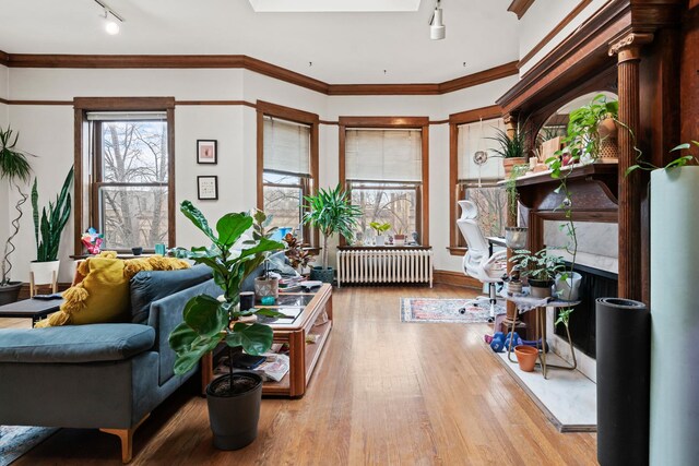 living area with track lighting, wood finished floors, a fireplace, and radiator