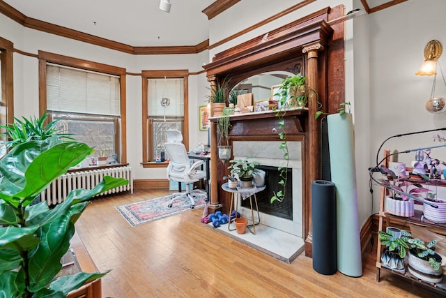 office featuring baseboards, radiator heating unit, wood finished floors, ornamental molding, and a high end fireplace