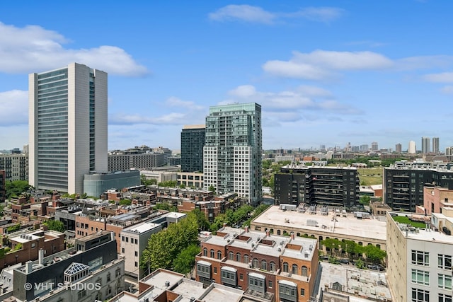 421 W Huron St Unit 1504, Chicago, IL 60654 - city view