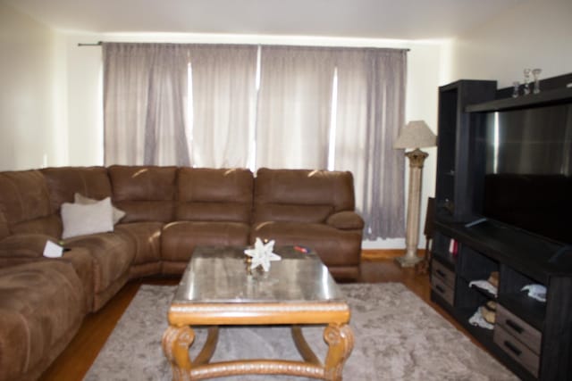 living area with wood finished floors