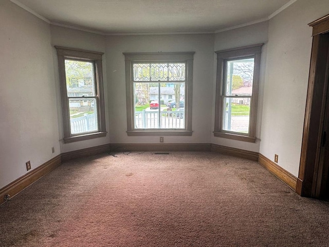 carpeted spare room with visible vents, baseboards, and crown molding