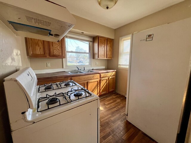 1011 N Coler Ave, Urbana, IL 61801 - kitchen featuring white appliances, a sink, ventilation hood, dark wood-type flooring, and brown cabinetry