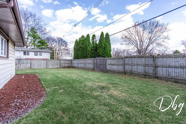 view of yard featuring a fenced backyard
