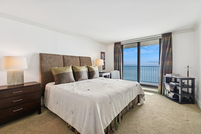 bedroom featuring light colored carpet, crown molding, baseboard heating, a water view, and access to outside