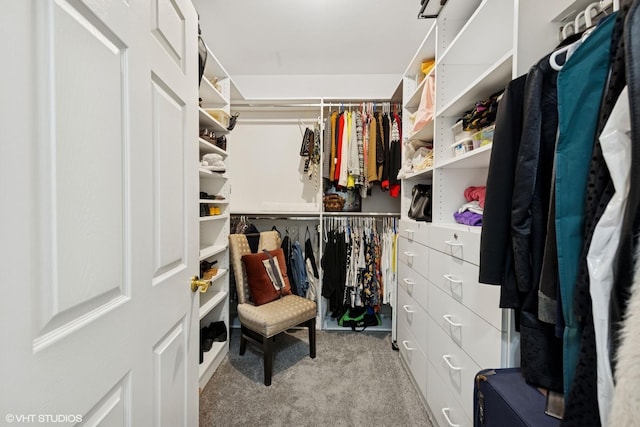 33 W Huron St Unit 309, Chicago, IL 60654 - spacious closet with carpet floors