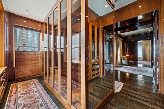 159 E Walton Pl Unit 34A, Chicago, IL 60611 - interior space featuring wooden walls and dark wood-type flooring