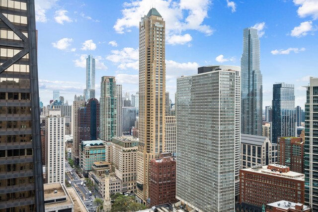 159 E Walton Pl Unit 34A, Chicago, IL 60611 - view of city