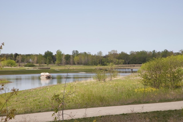 property view of water