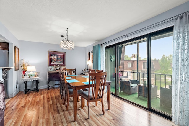 11138 Center Rd Unit E22, Palos Hills, IL 60465 - dining room featuring light wood-style floors and baseboards
