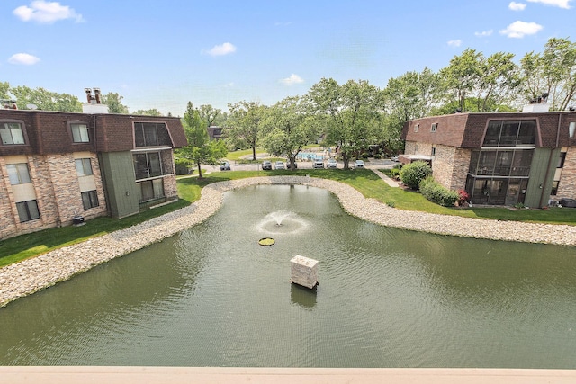 11138 Center Rd Unit E22, Palos Hills, IL 60465 - water view