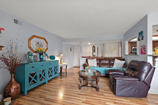 11138 Center Rd Unit E22, Palos Hills, IL 60465 - living area featuring light wood-type flooring