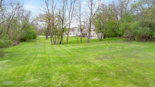 7S745 State Route 53rd Hwy, Naperville, IL 60540 - view of grassy yard