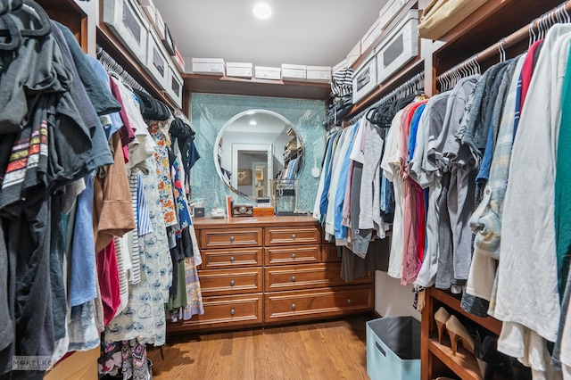 7S745 State Route 53rd Hwy, Naperville, IL 60540 - walk in closet featuring light wood finished floors