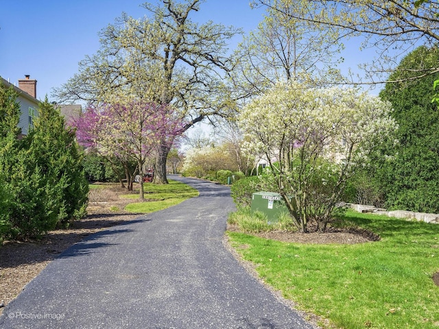 1033 Hickory Dr, Western Springs, IL 60558 - view of street