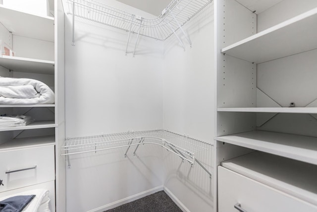 1106 Andover Ct, Glendale Heights, IL 60139 - walk in closet with carpet floors